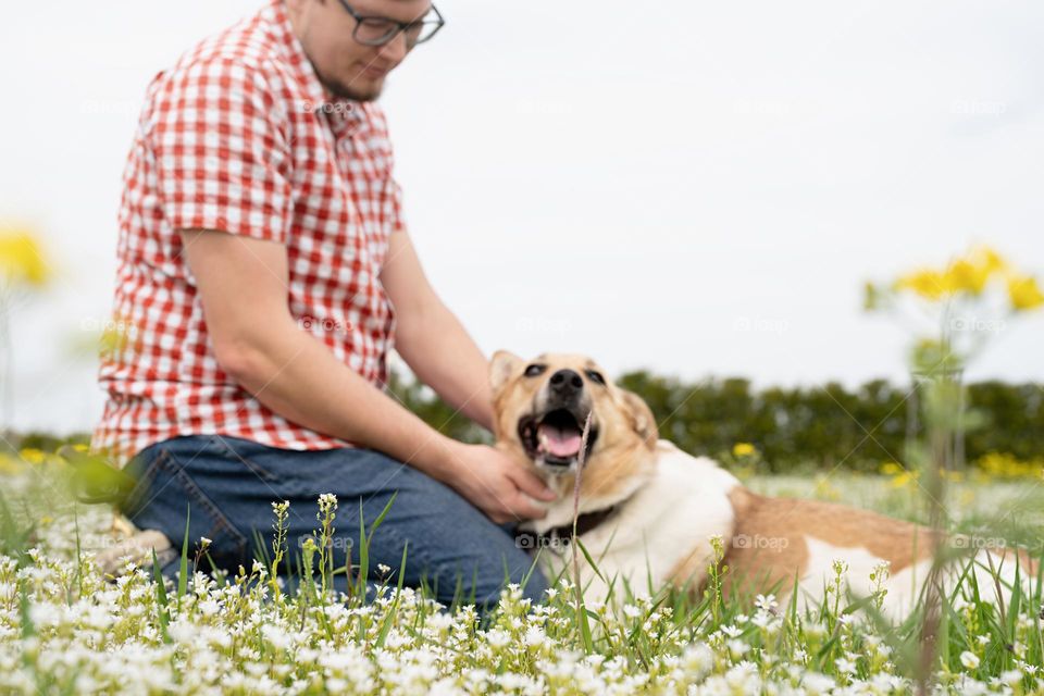 cute dog on a walk