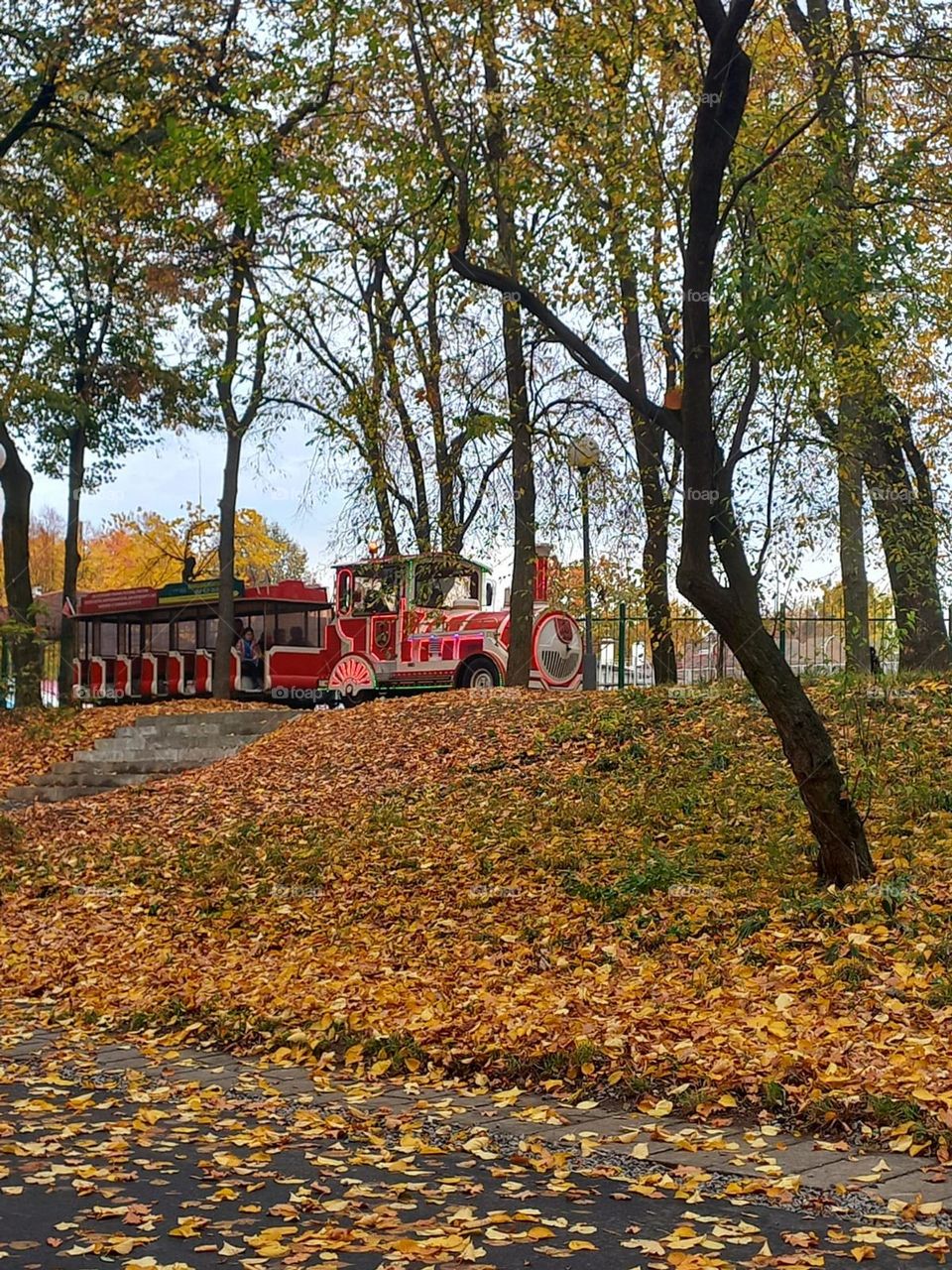 excursion through a beautiful autumn park