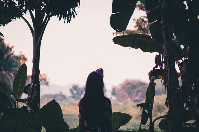 Into the Wild