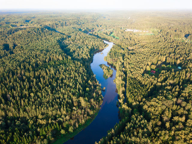 Gauja near Ligatne