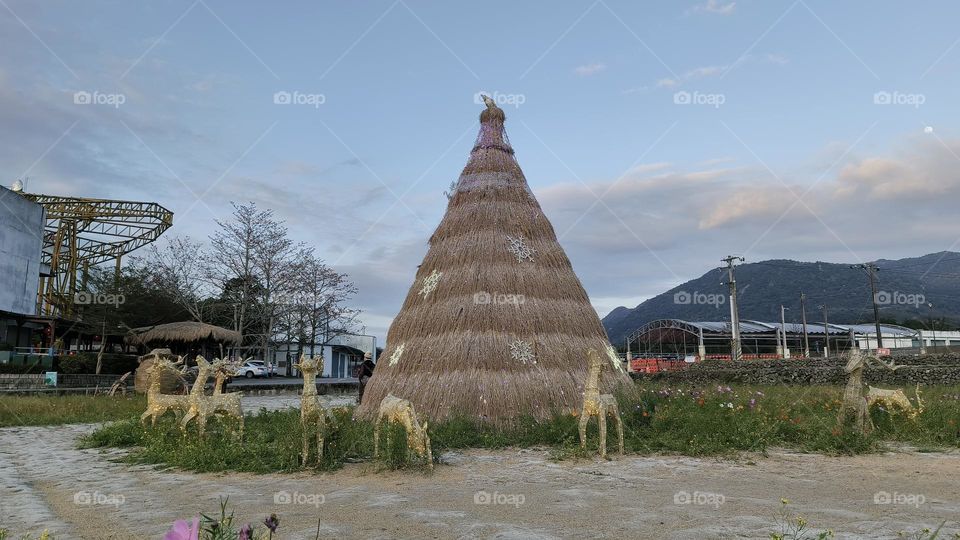 christmas tree in the mountains