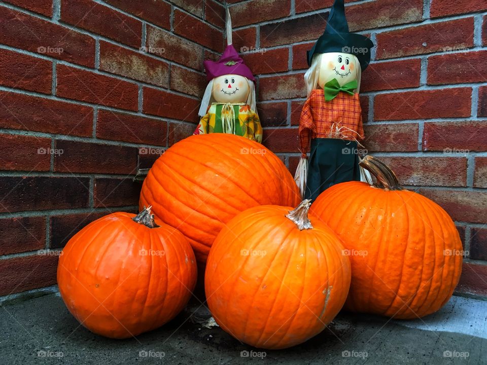 Halloween Pumpkin and scarecrow decor 