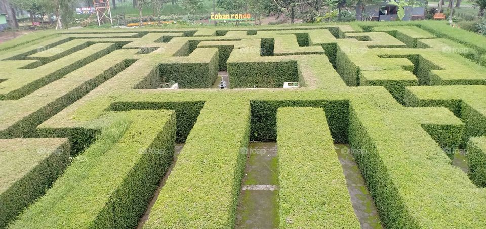 maze garden