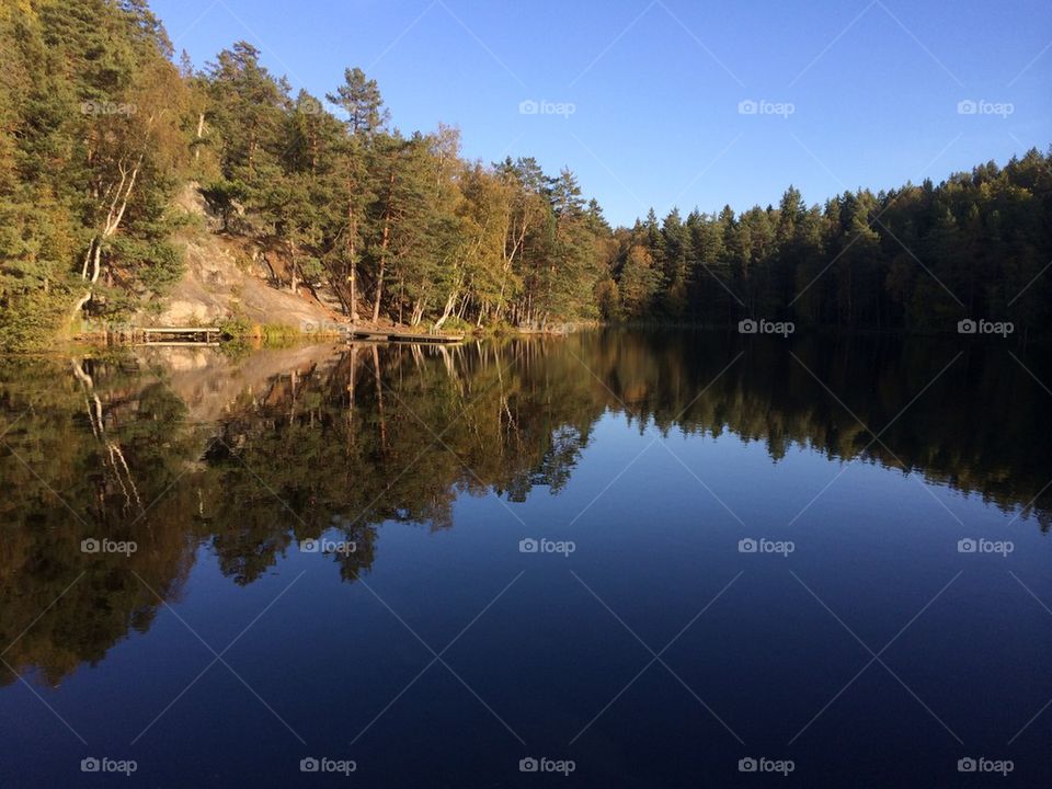 Reflection of trees on idyllic lake