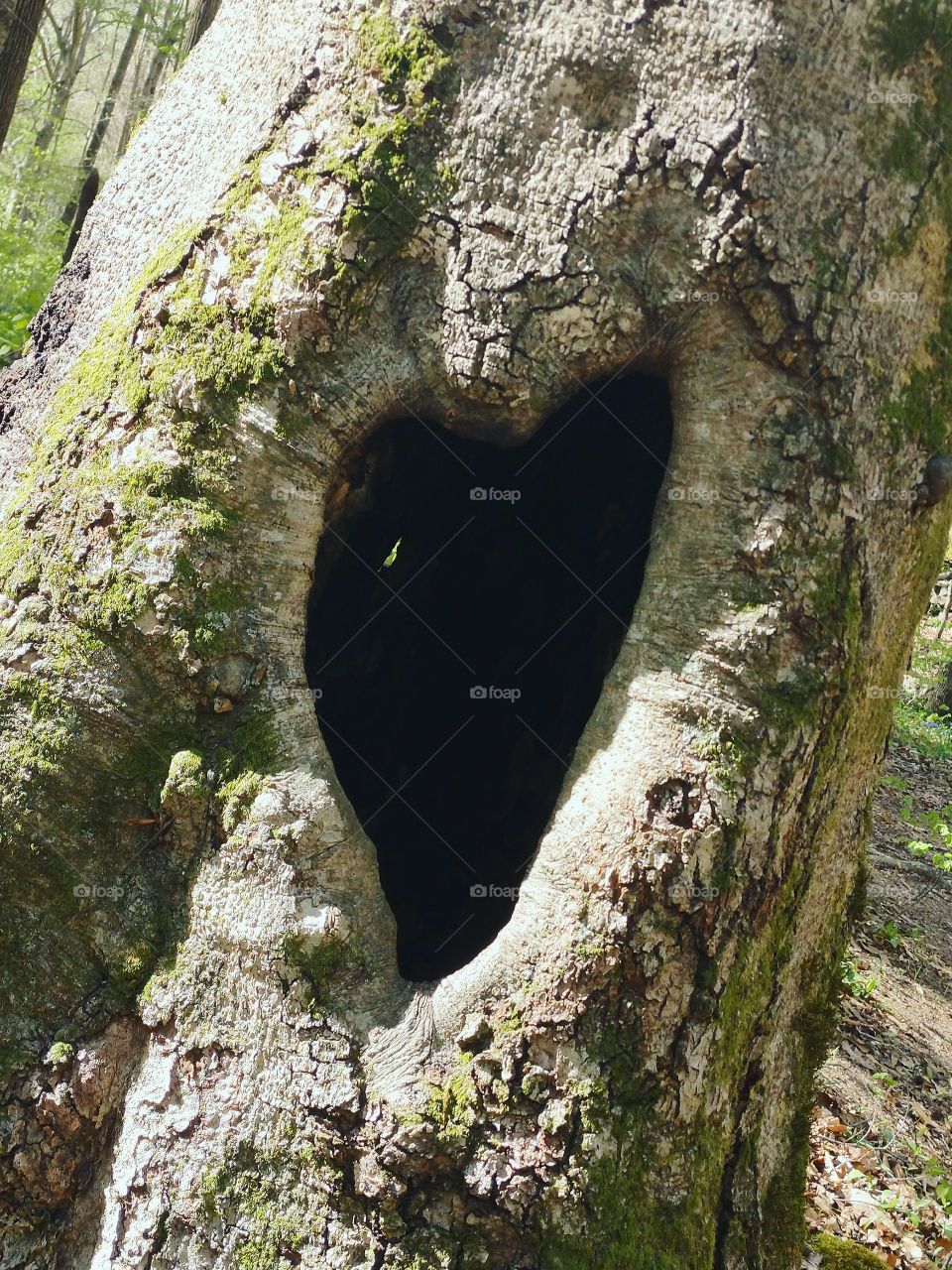 Heart tree