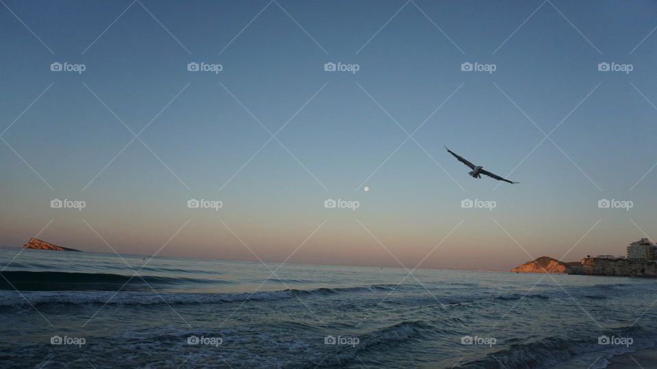 Beach#sea#sky#colors#morning