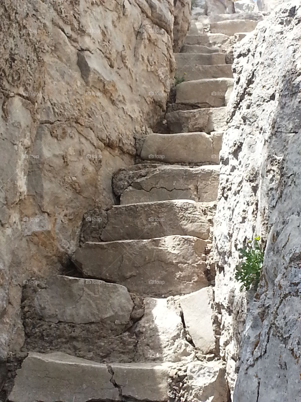 Mountain Stairs