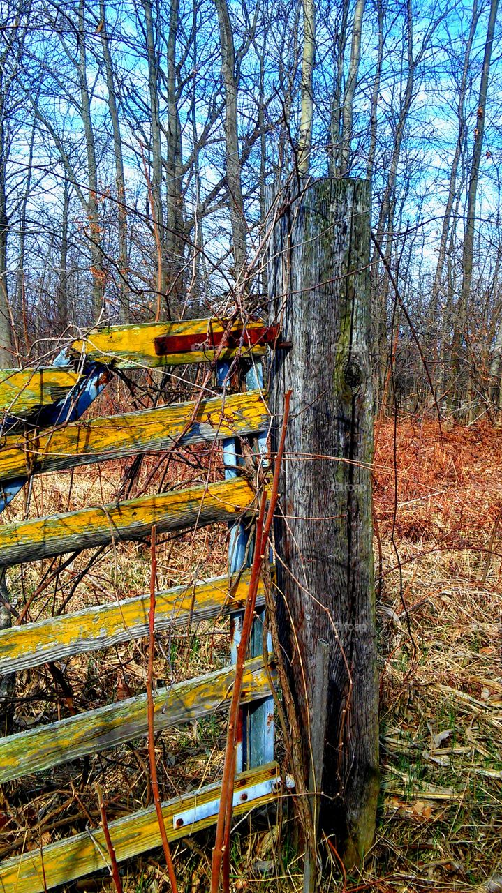 Yellow gate