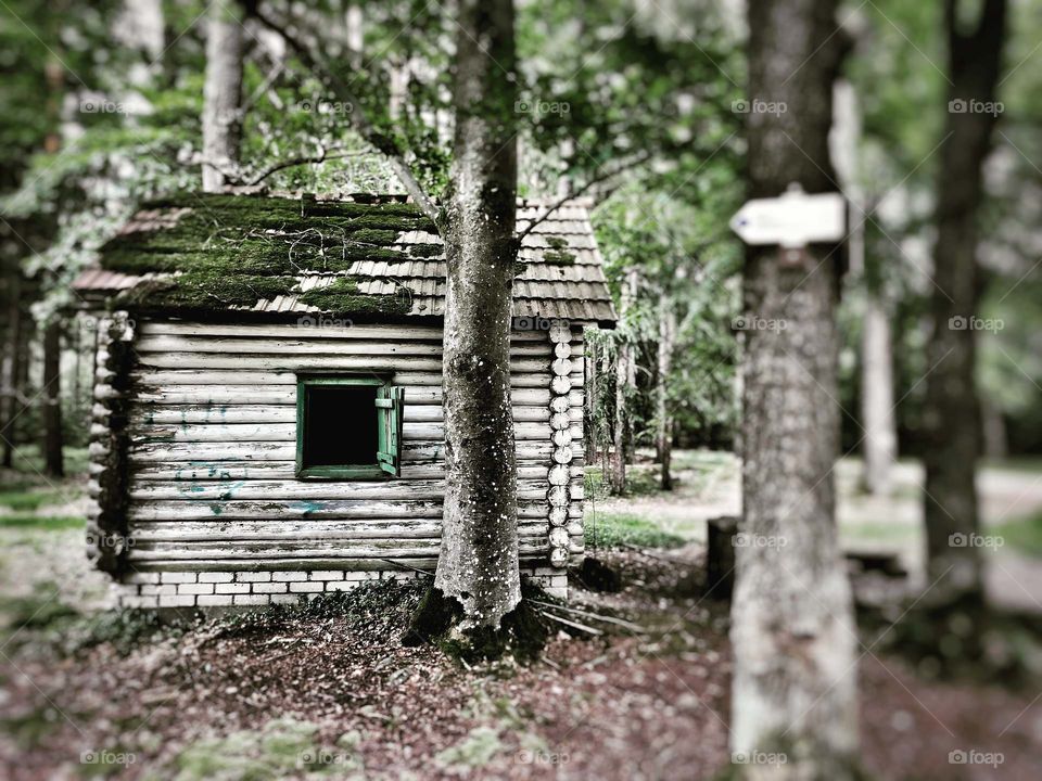 Hunter, cabin, cotage, hut, forest,