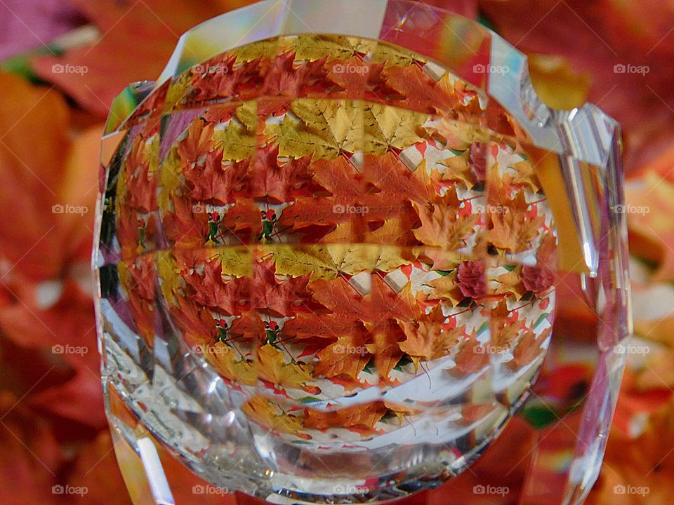 First sign of autumn - Beautiful and colorful maple leaves are viewed through a glass prism