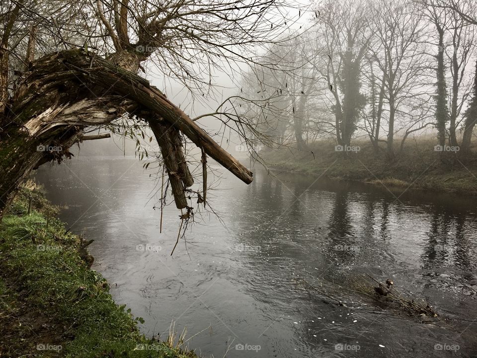 Foggy November day 2020 ... Weather forecast has been predicting this for days ... they finally got it right this morning 😂