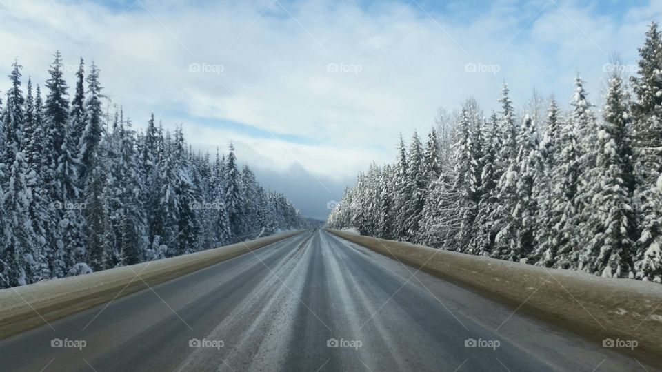 Winter Road Ahead