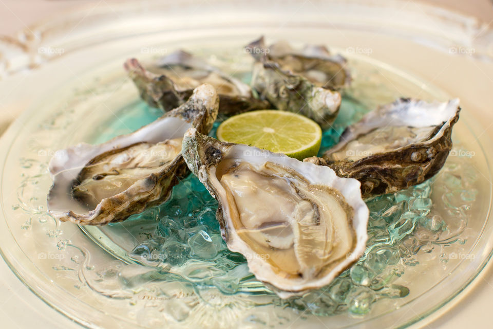 High angle view of oysters served in plate