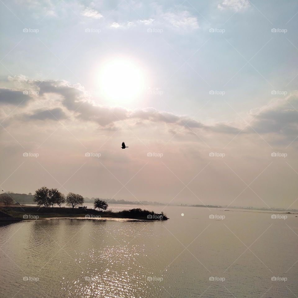 A bird in the frame.