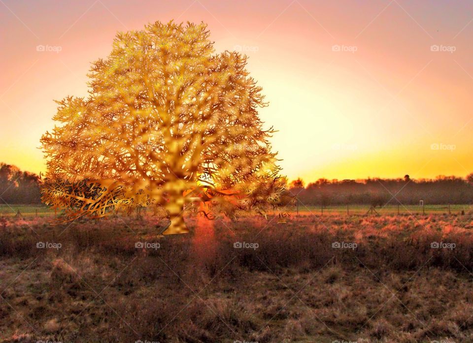 Gold tree