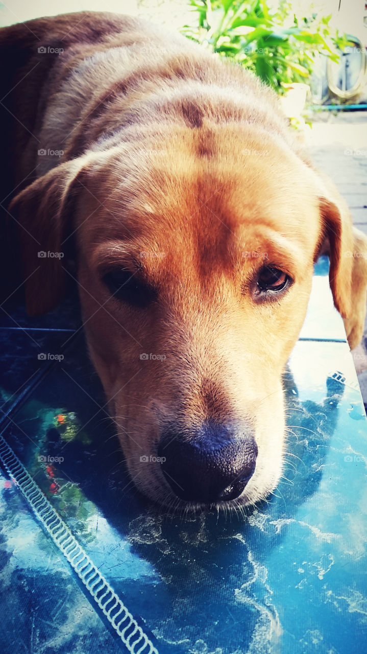 Boring day, why Papa don't take me to the park? I was waiting for the whole week, That's really broke my heart.