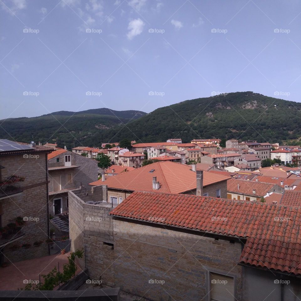 Editors' Choice: Photo of the Week