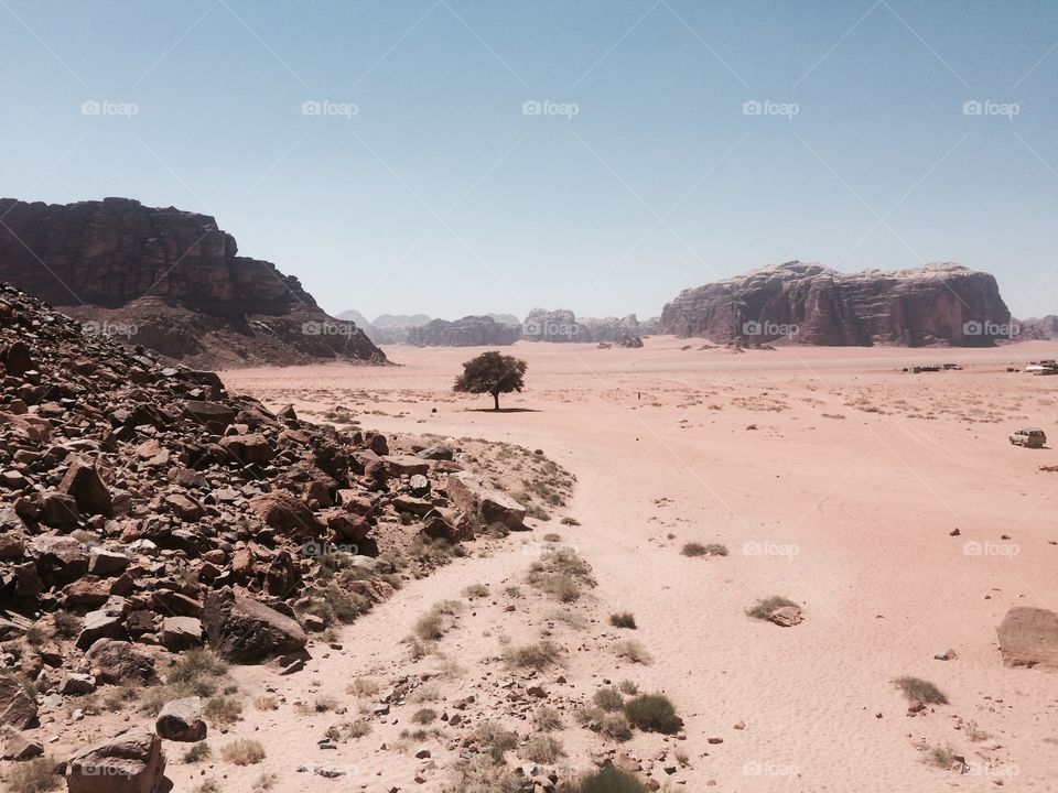 Wadi Rum Desert. Wadi Rum Desert