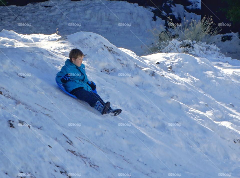 Boy Sledding In The Snow