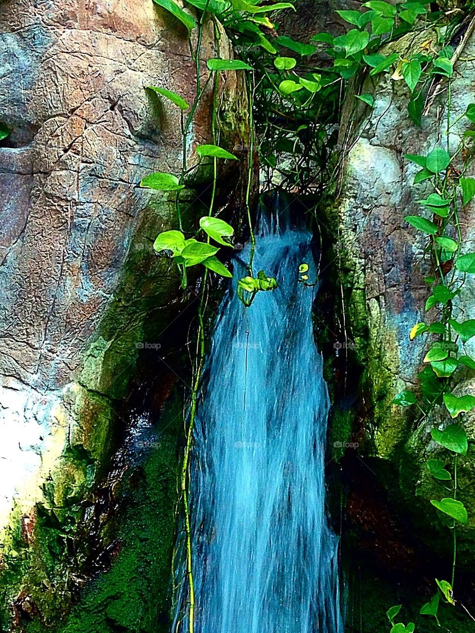 Jungle waterfall 