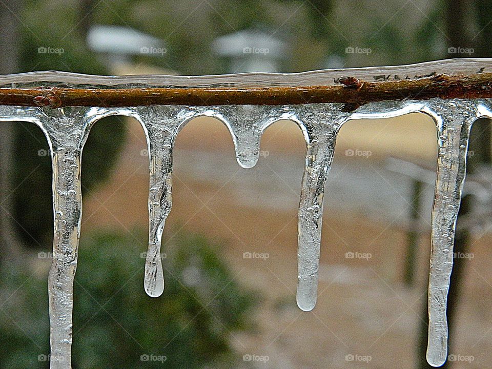 Liquids are cool - different liquids in different states and different situations - Frozen H20 hangs from a frozen branch