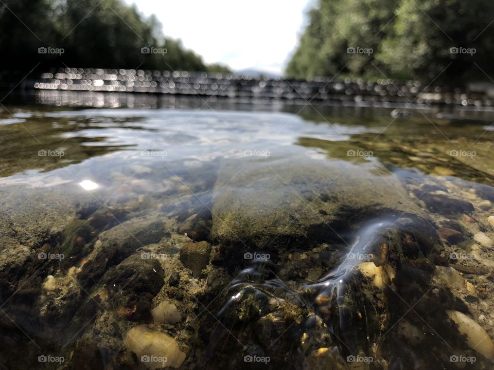 Wild river with clean water 