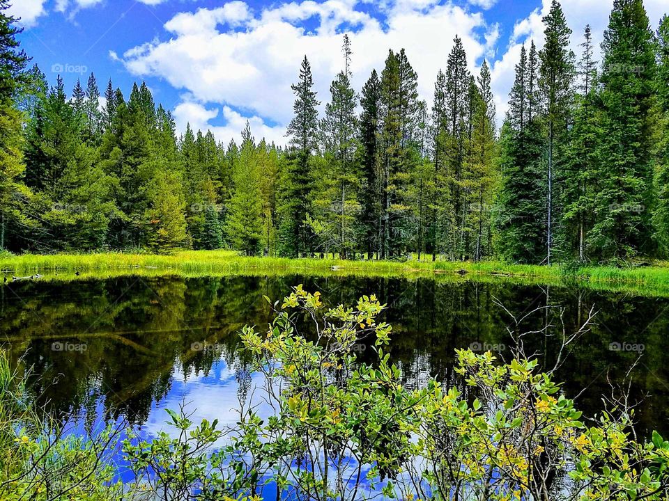 nature of the Colorado