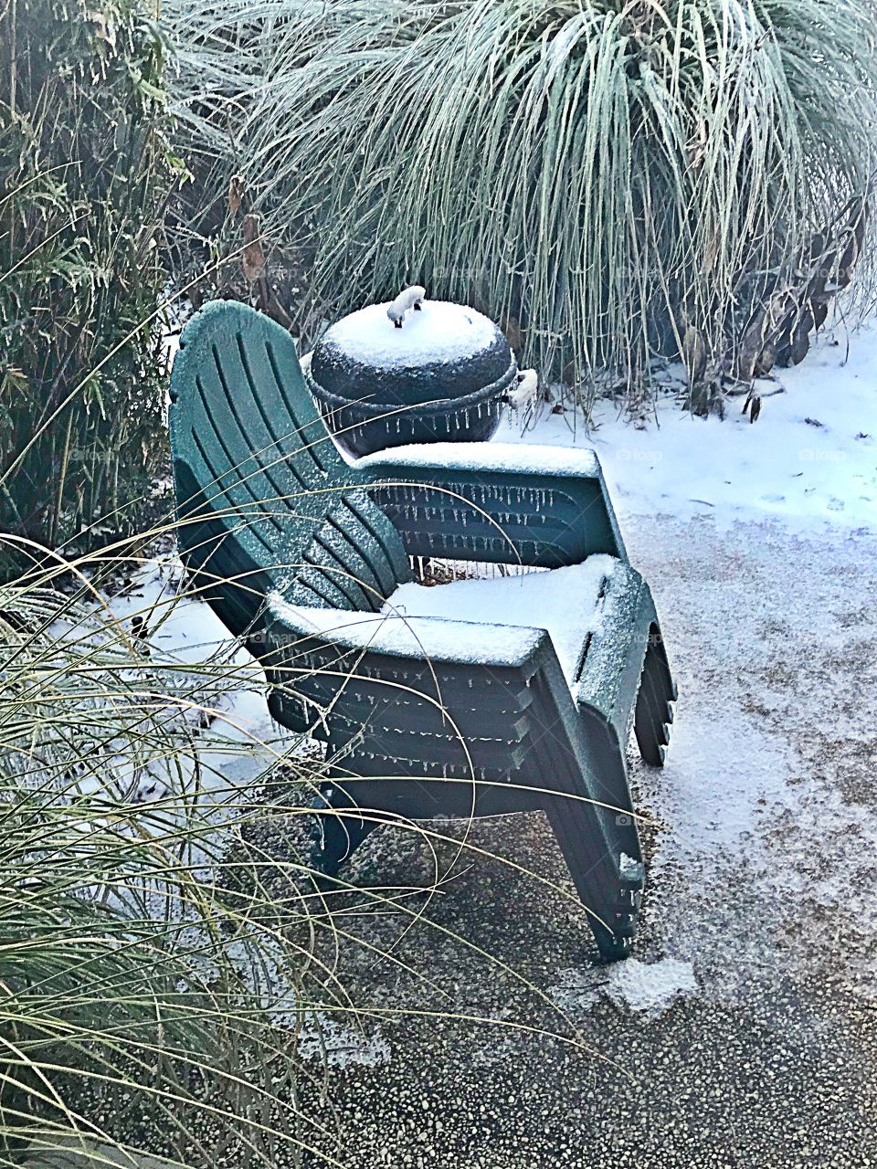 Cold day in South Carolina 