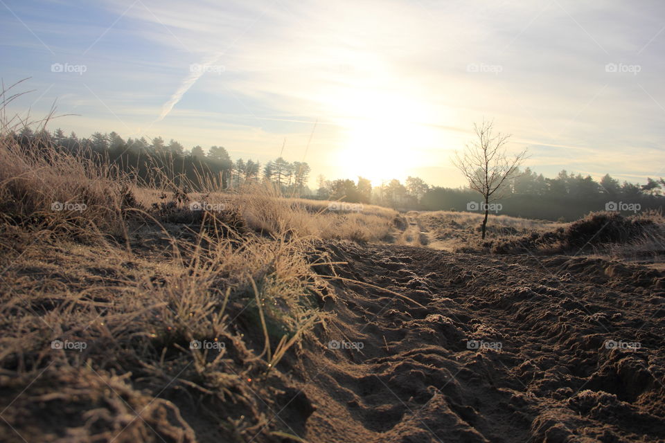 sand road sunrise. no filters or photo manipulations used