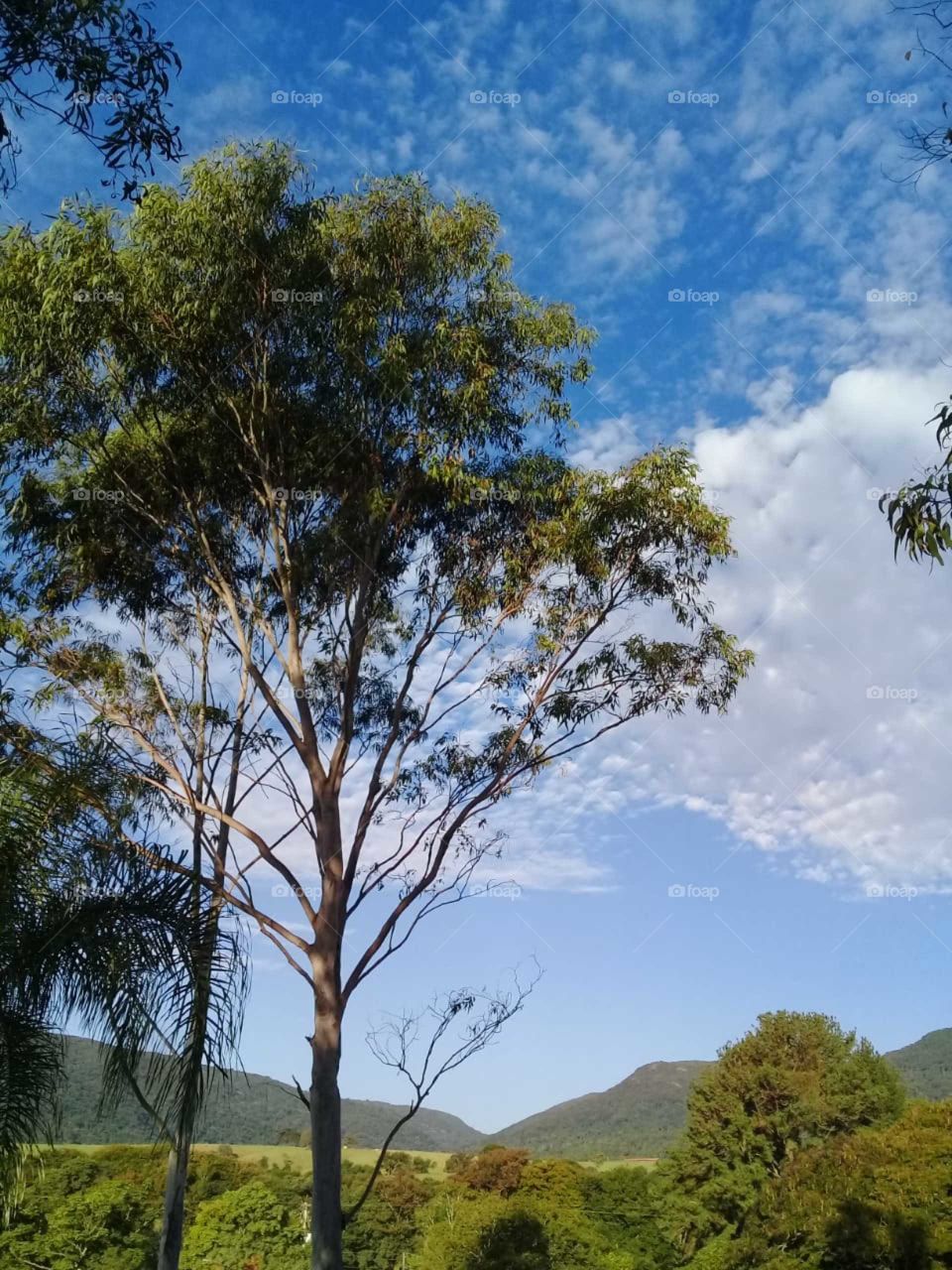 A paisagem espetacular da Fazenda Ermida, em Jundiaí. Com a vista da Serra do Japi, a combinação perfeita do azul e verde!