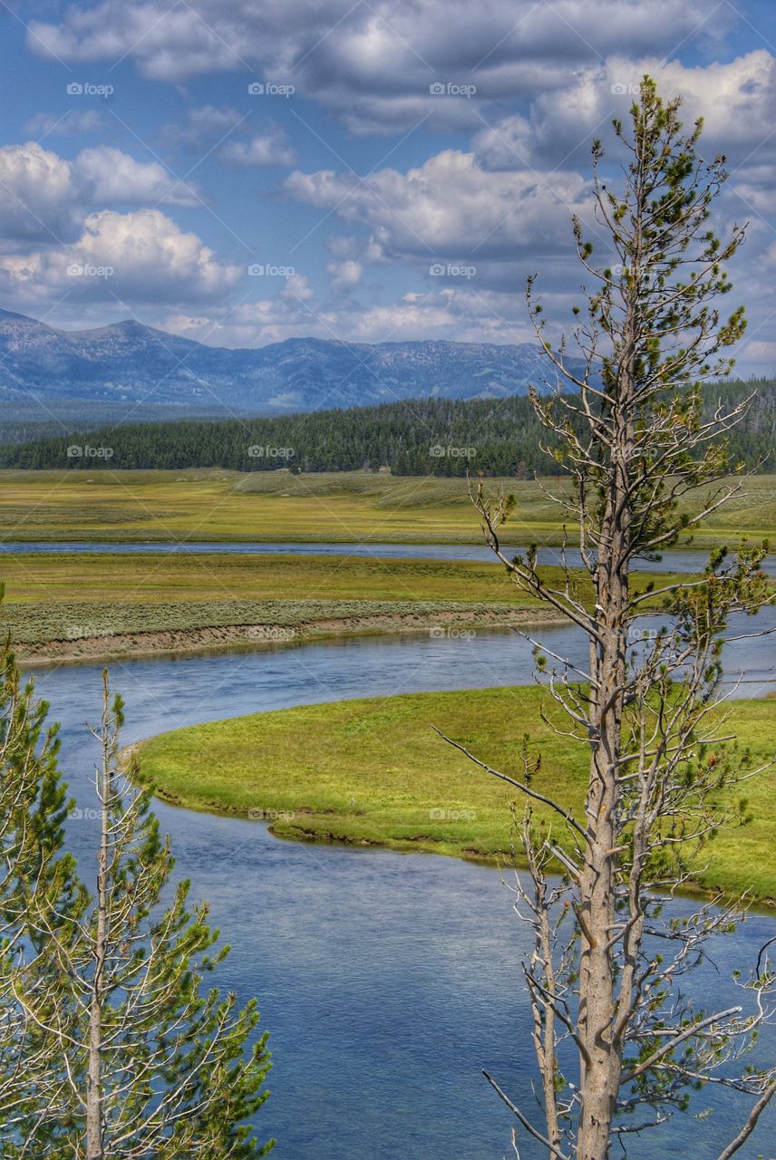 Yellowstone splendor