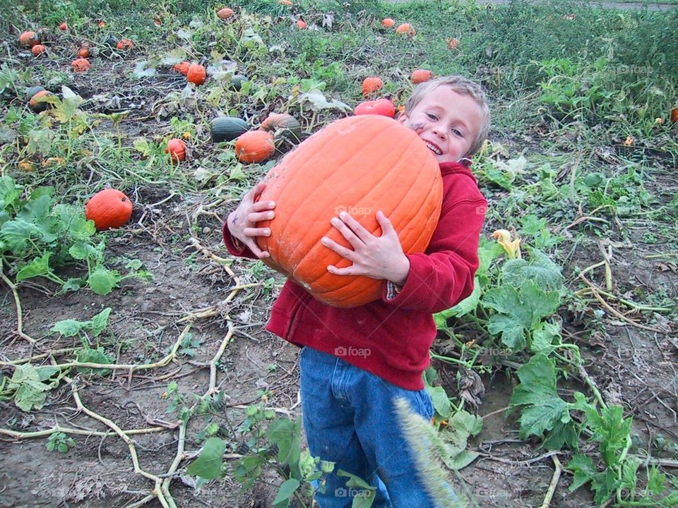 Pumpkin picking 