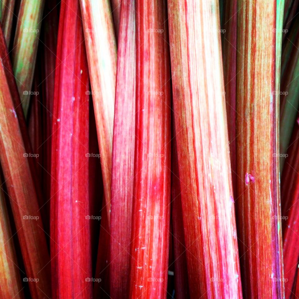 Rhubarb 