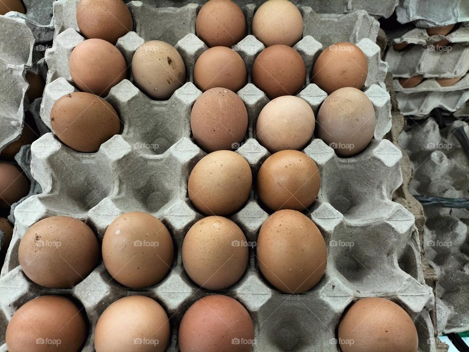 cute and unique chicken eggs