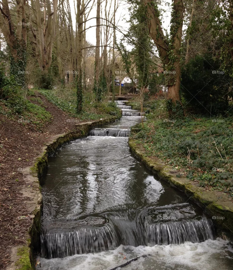 Stream 