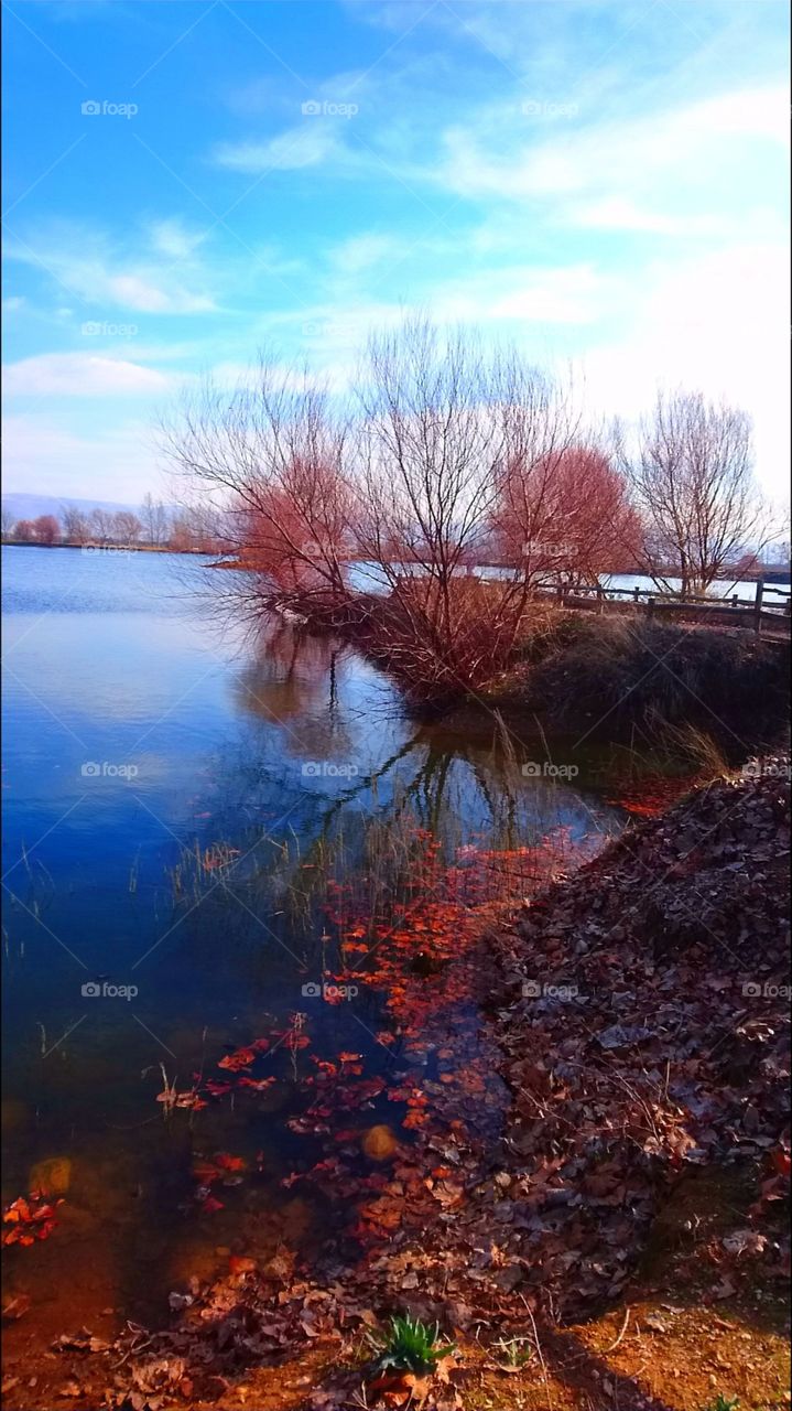 Fall and lake