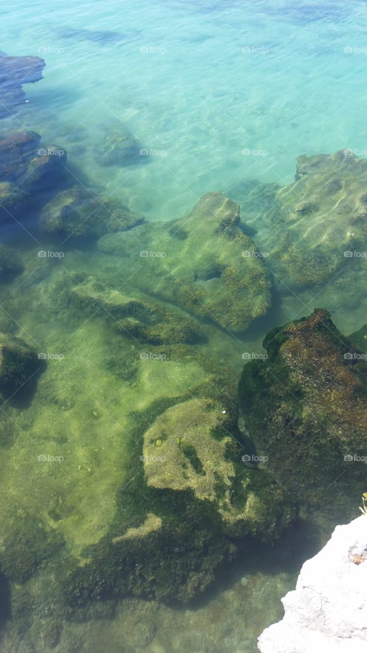 clear water cenote playa del carmen