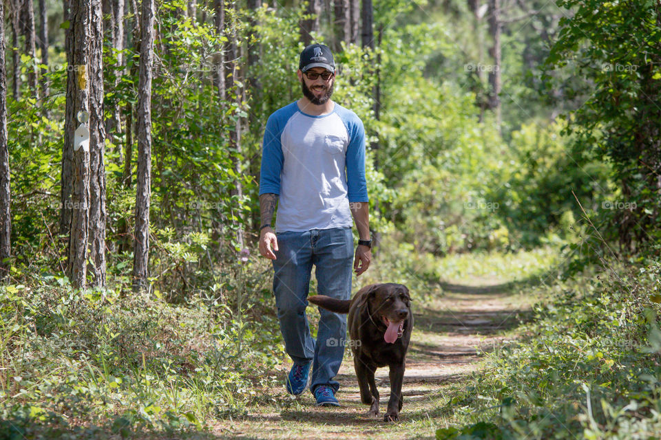 Pet time walk on trail with chocolate lab