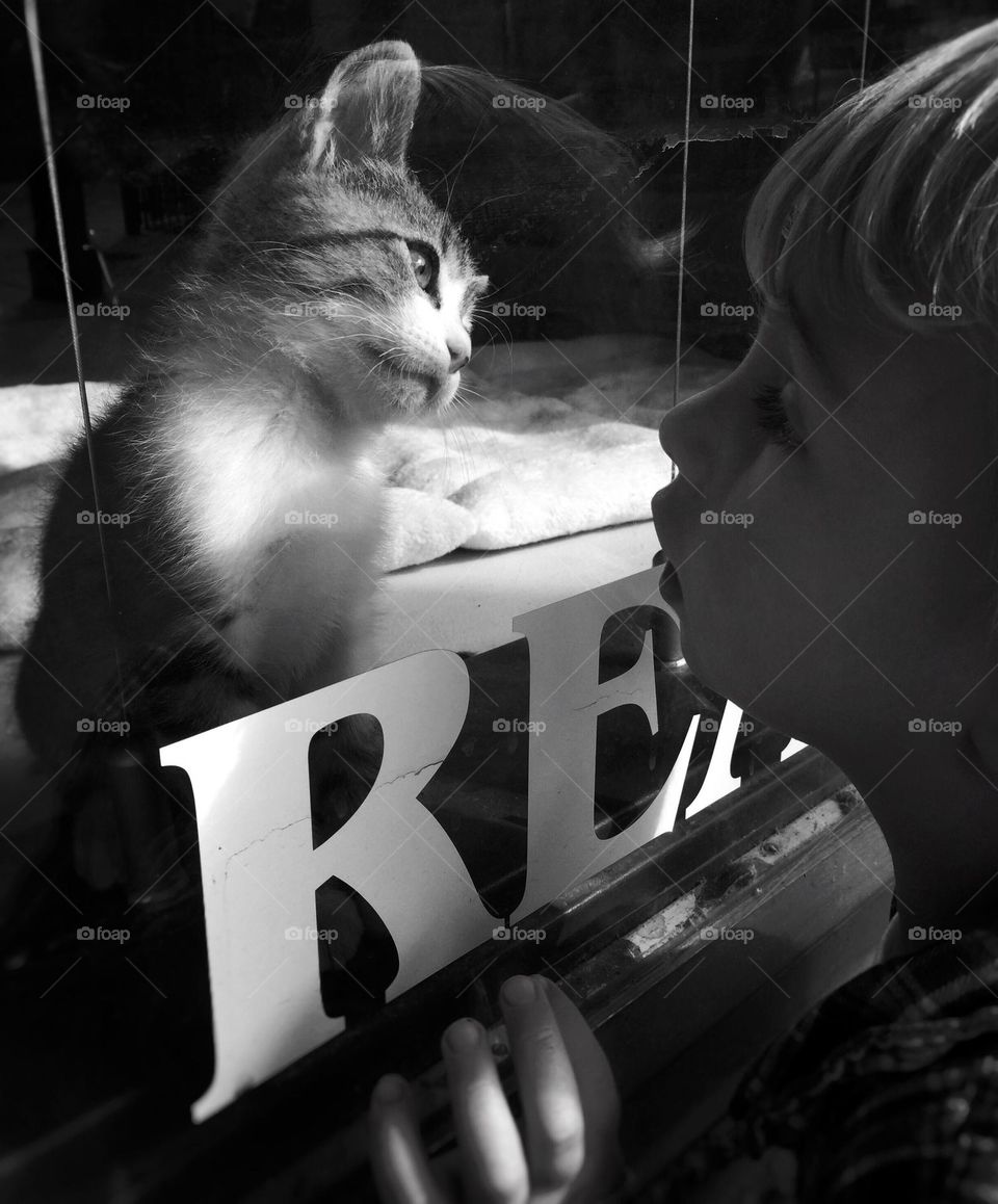 Two young creatures study each other 