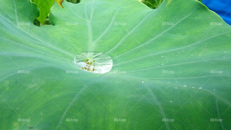 #a_small_water_drop