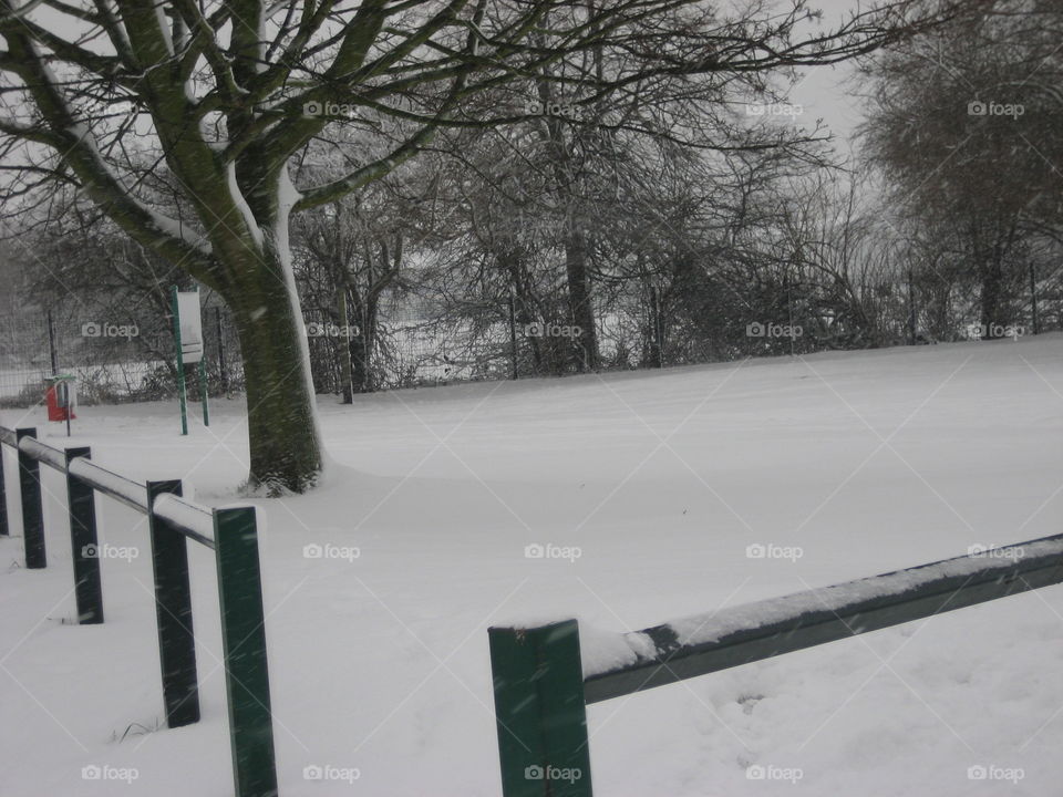 Park in snow