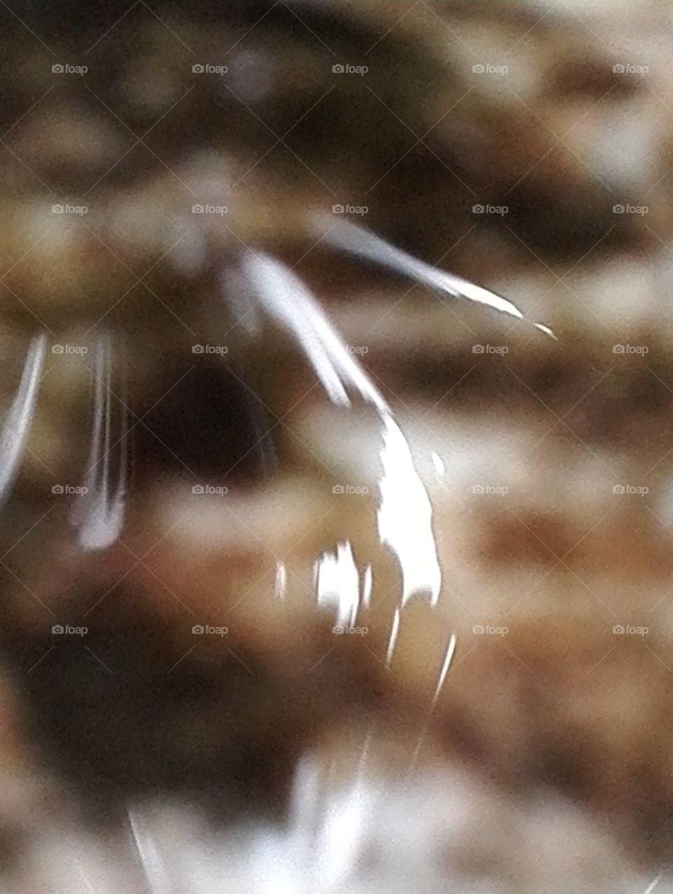 Reflection on the water surface