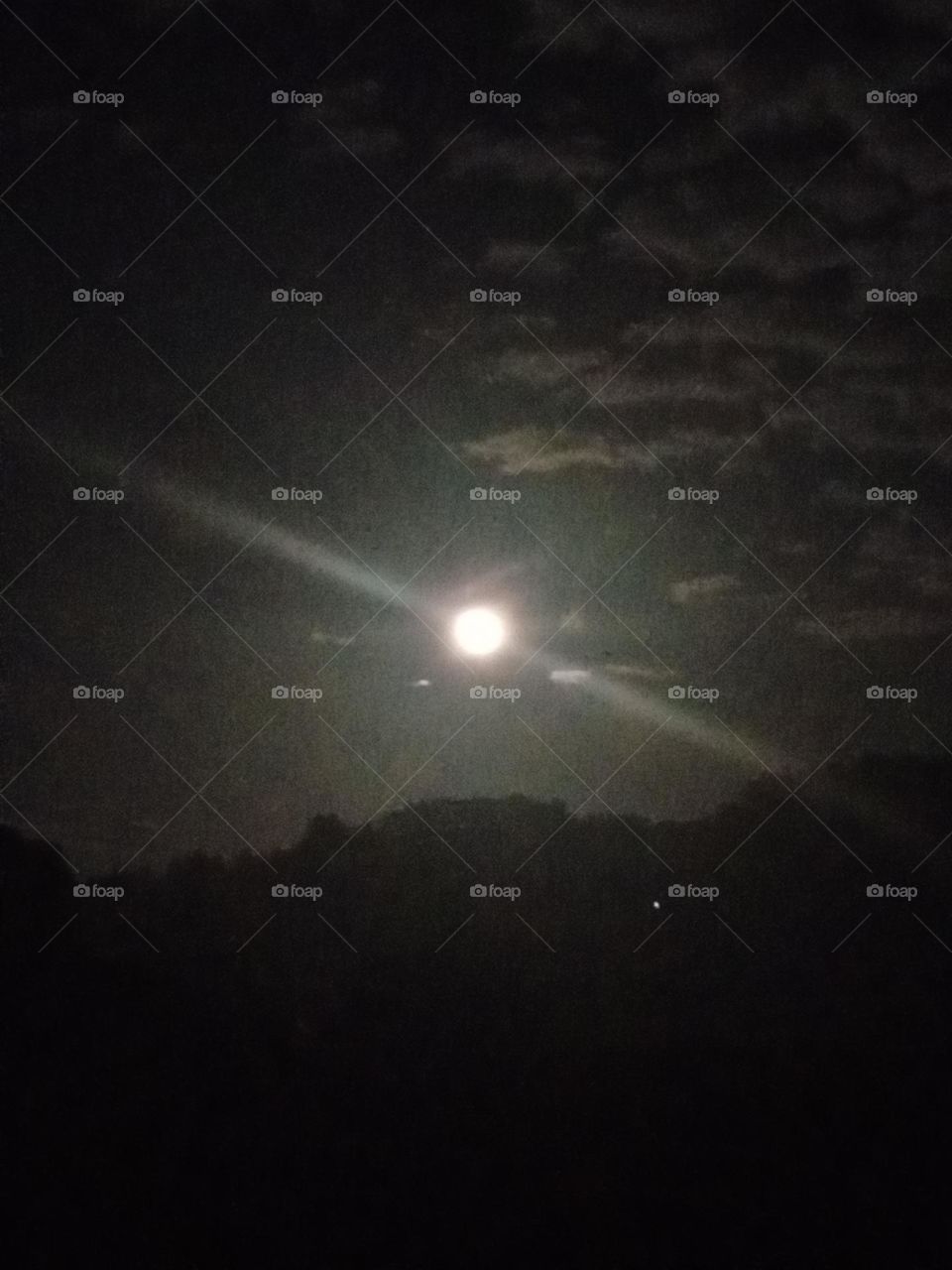 a scene where the moon has risen..