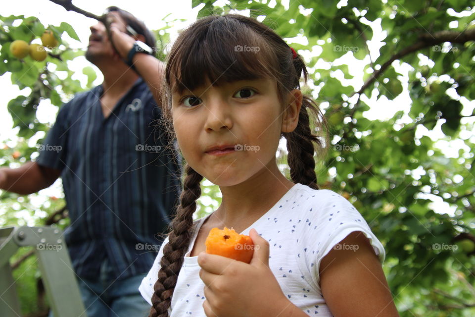 Cute little girl with an apricot on an orchard