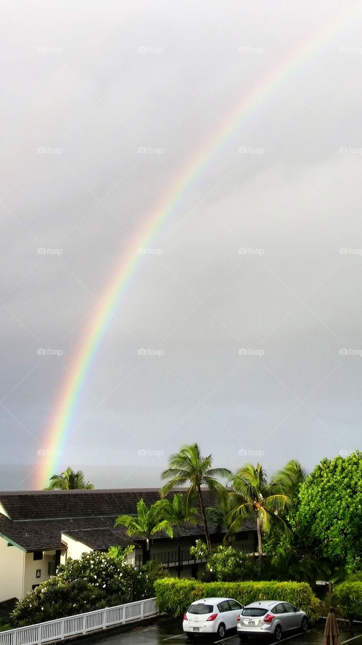 Rainbow in Hawaii