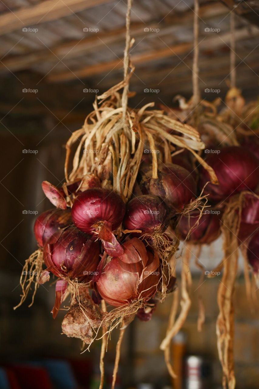Hanging onion