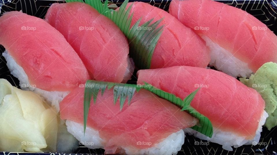 Pink Salmon