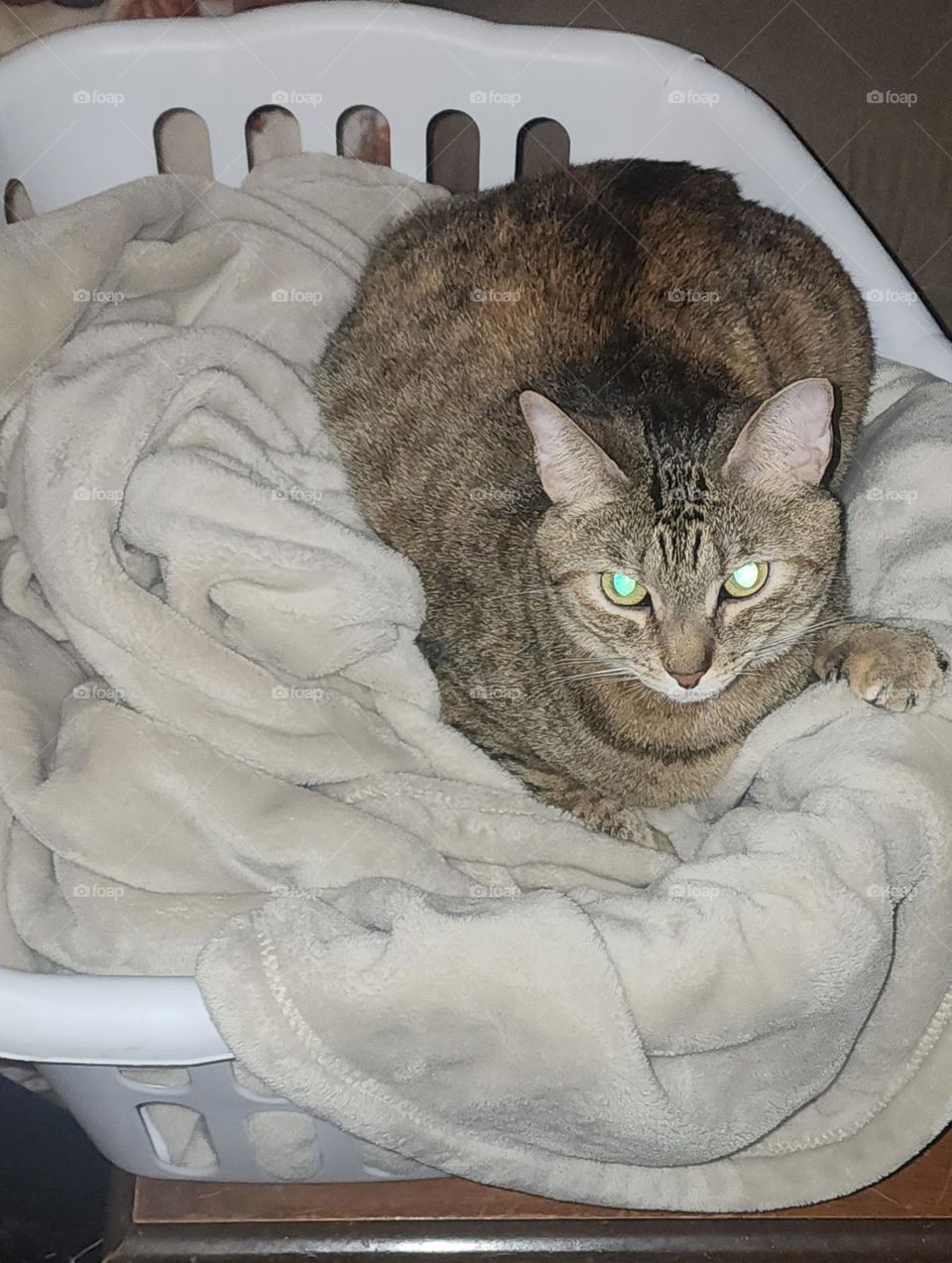 what? did you just wash this blanket? for me????