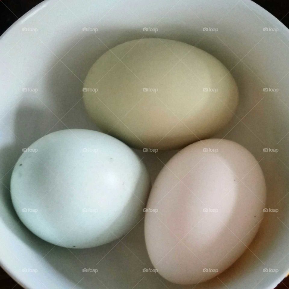 Natural hue. The beauty of farm fresh eggs and the beautiful variety of colors.