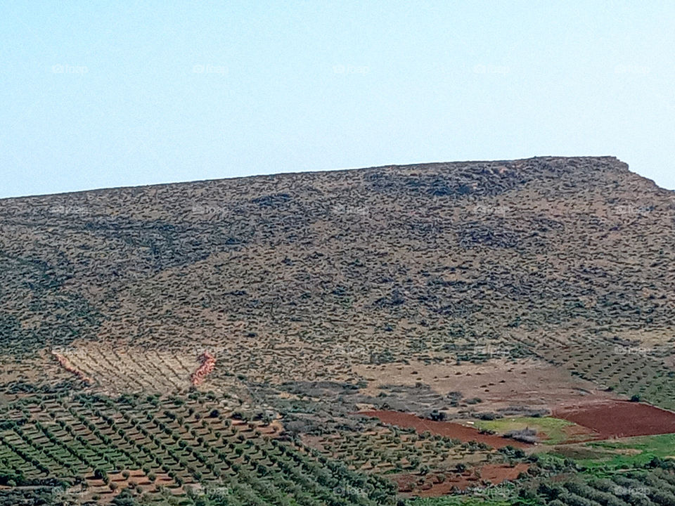 Agricultural lands